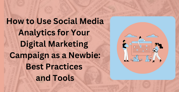 How to Use Social Media Analytics for Your Digital Marketing Campaign as a Newbie Best Practices and Tools