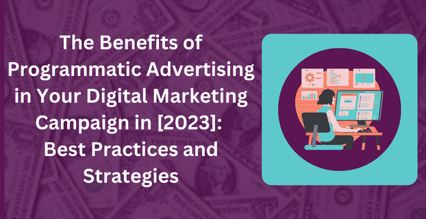 The Benefits of Programmatic Advertising in Your Digital Marketing Campaign in [2023] Best Practices and Strategies